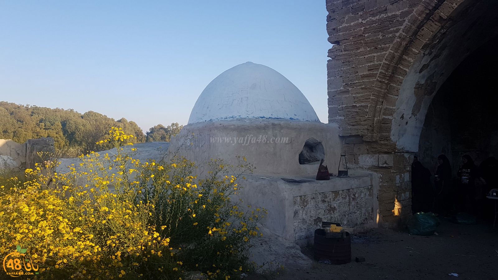 robenerejq (14).jpeg